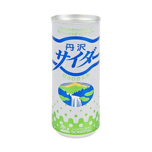 丹沢サイダー  ＜1ケース（250ml）＞（創健社）×30本