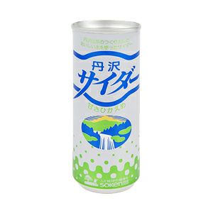 丹沢サイダー  ＜1ケース（250ml）＞（創健社）×30本